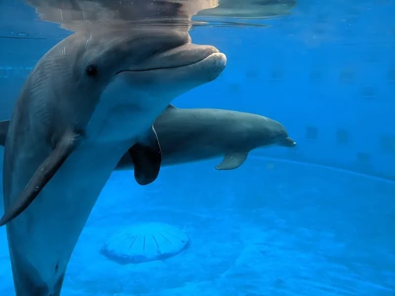 View of Gulfarium Marine Adventure Park in Destin, FL