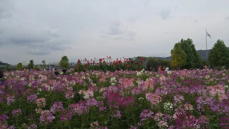 View of Guri Botanical Garden in Guri, GG