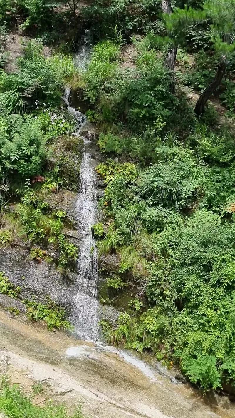 View of Guyulje Arboretum in Namyangju, GG