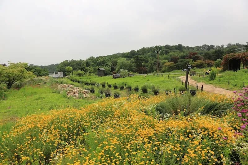 View of Guyulje Arboretum in Namyangju, GG