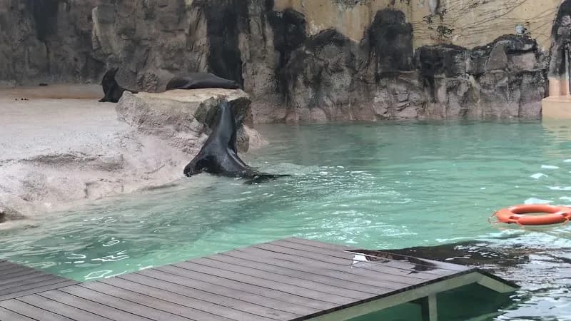 View of Gwacheon Oido Ecological Park in Gwacheon, GG