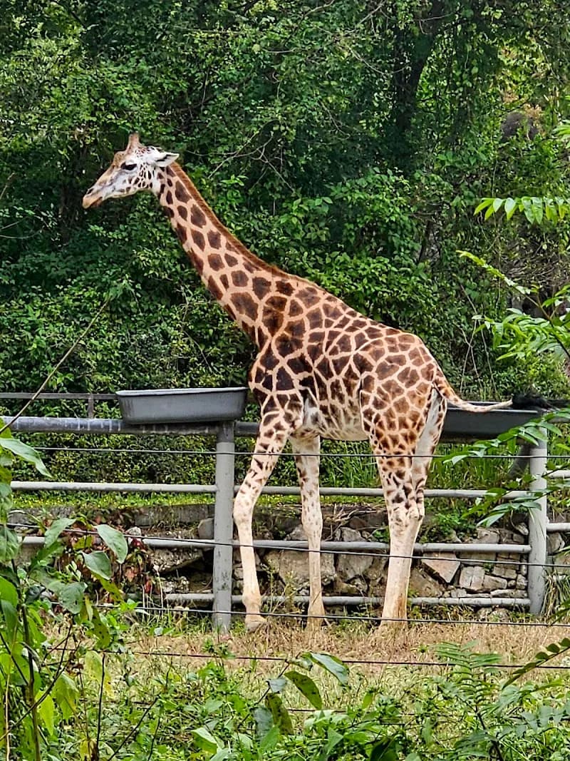 View of Gwacheon Oido Ecological Park in Gwacheon, GG