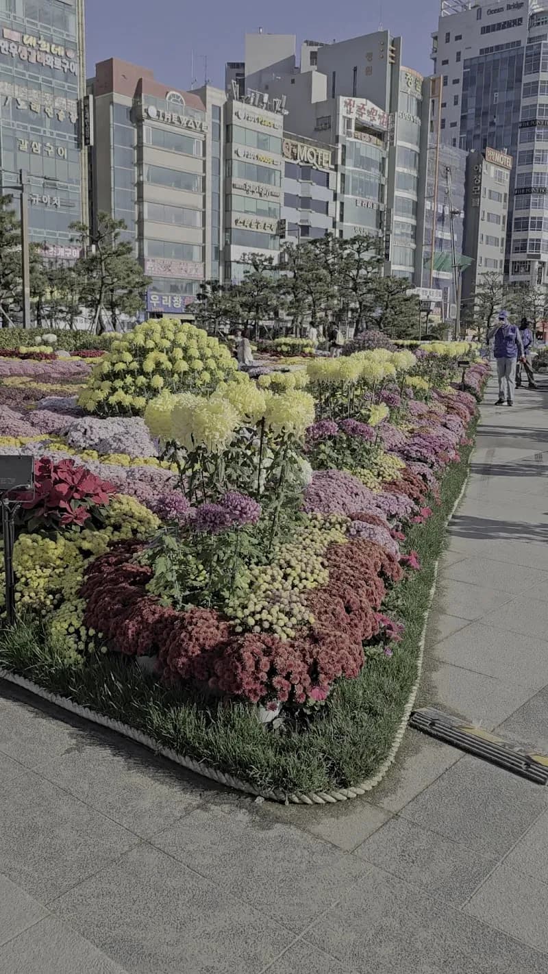 View of Gwangan Beach Park in Gwangalli, Busan
