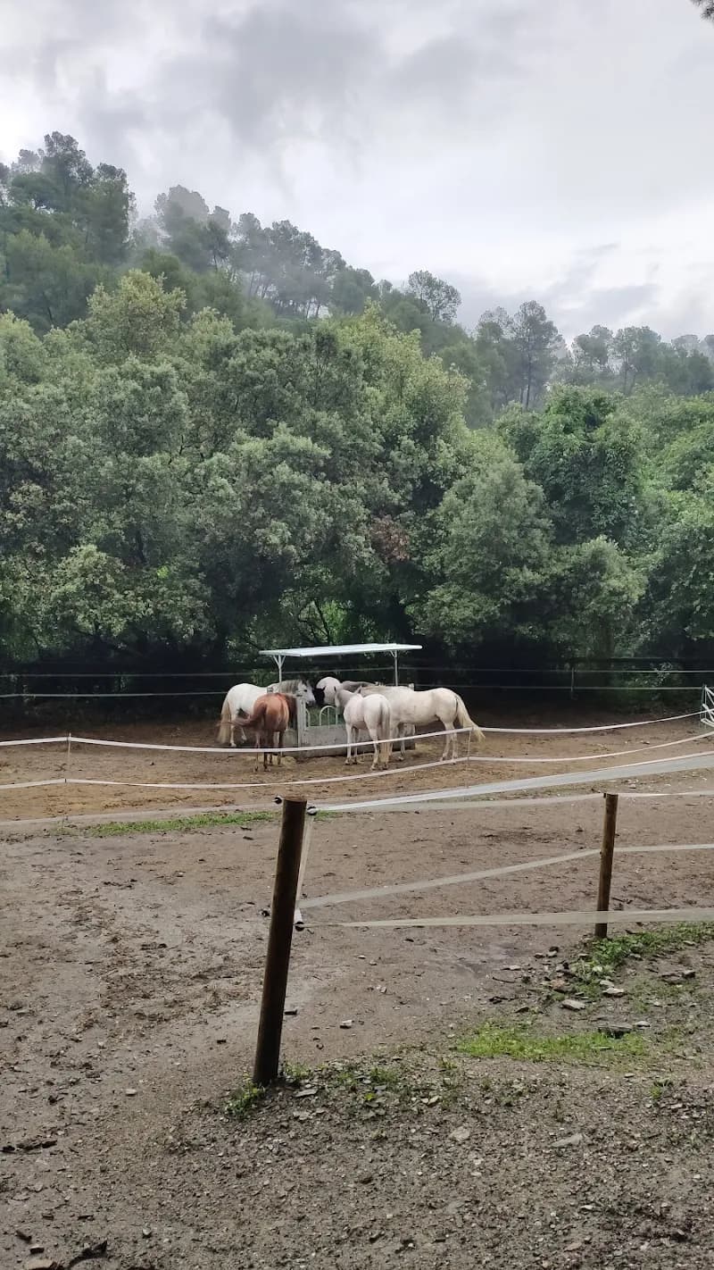 View of HÍPICA PADDOCK ACTIVO COLLSEROLA in Molins de Rei, CT