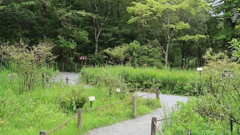View of Hakone Botanical Garden of Wetlands in Hakone, Kanagawa