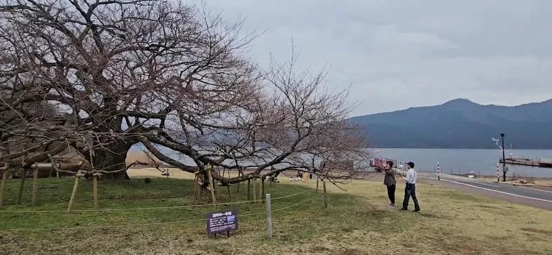 View of Hakone-en in Odawara, Kanagawa