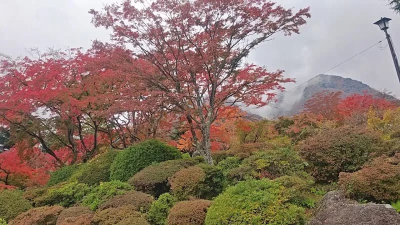 View of Hakone Gora Park in Hakone, Kanagawa