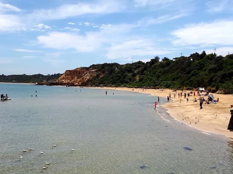 Half Moon Bay Beach beach in Bayside, VIC
