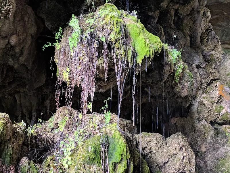 View of Hamilton Pool Preserve in Bee Cave, TX