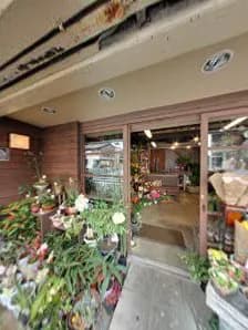 View of Hanadayori in Higashiyama, KYO