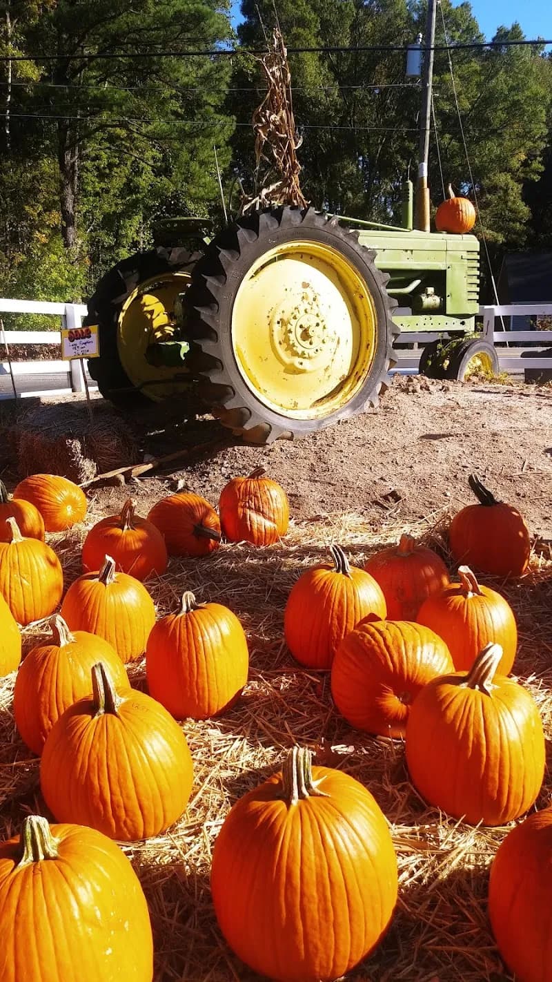 View of Hanover Vegetable Farm in Hanover, VA