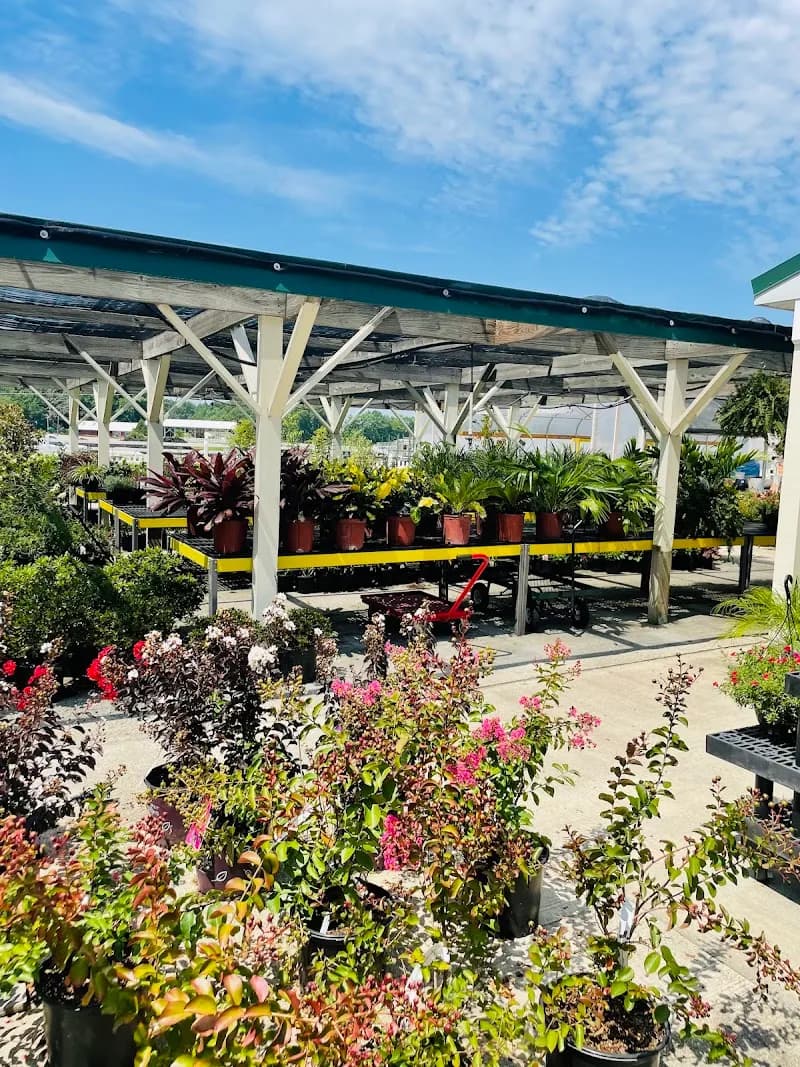 View of Hanover Vegetable Farm in Hanover, VA