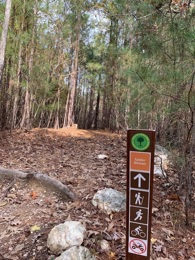 View of Harbison State Forest in Columbia, SC