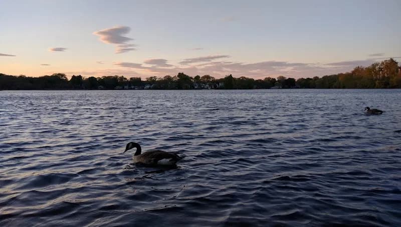 Hardy Pond lake in Waltham, MA