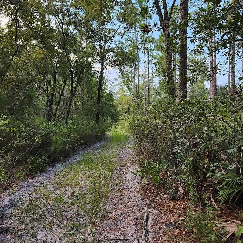 Hatchet Creek Wildlife Management Area wildlife park in Starke, FL