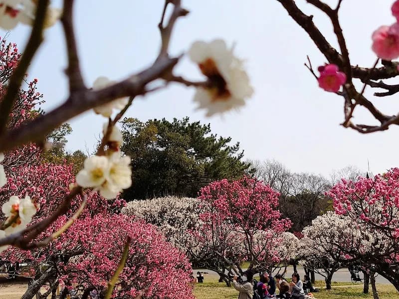 View of Hattori Ryokuchi Park in Osaka, OS