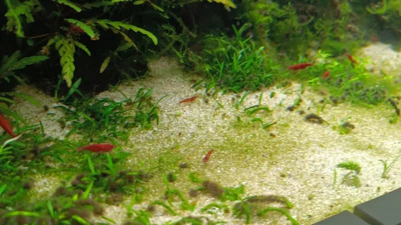 View of Haus des Meeres (House of the Sea) in Vienna, W