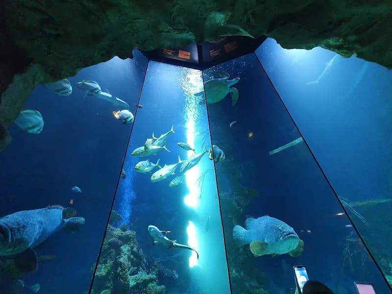 View of Haus des Meeres (House of the Sea) in Vienna, W