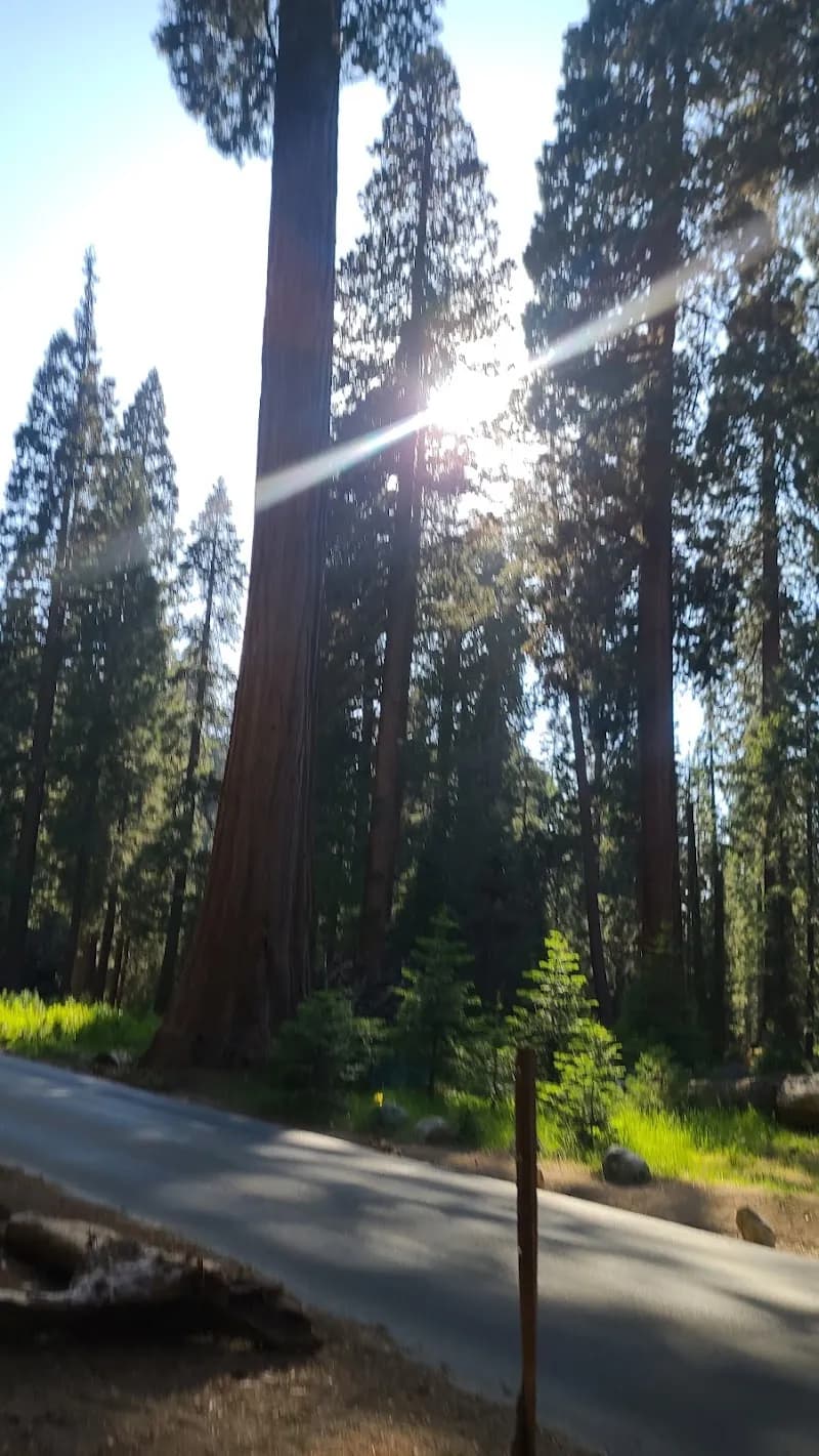 Hazelwood Nature Trail hiking area in Salem, OR