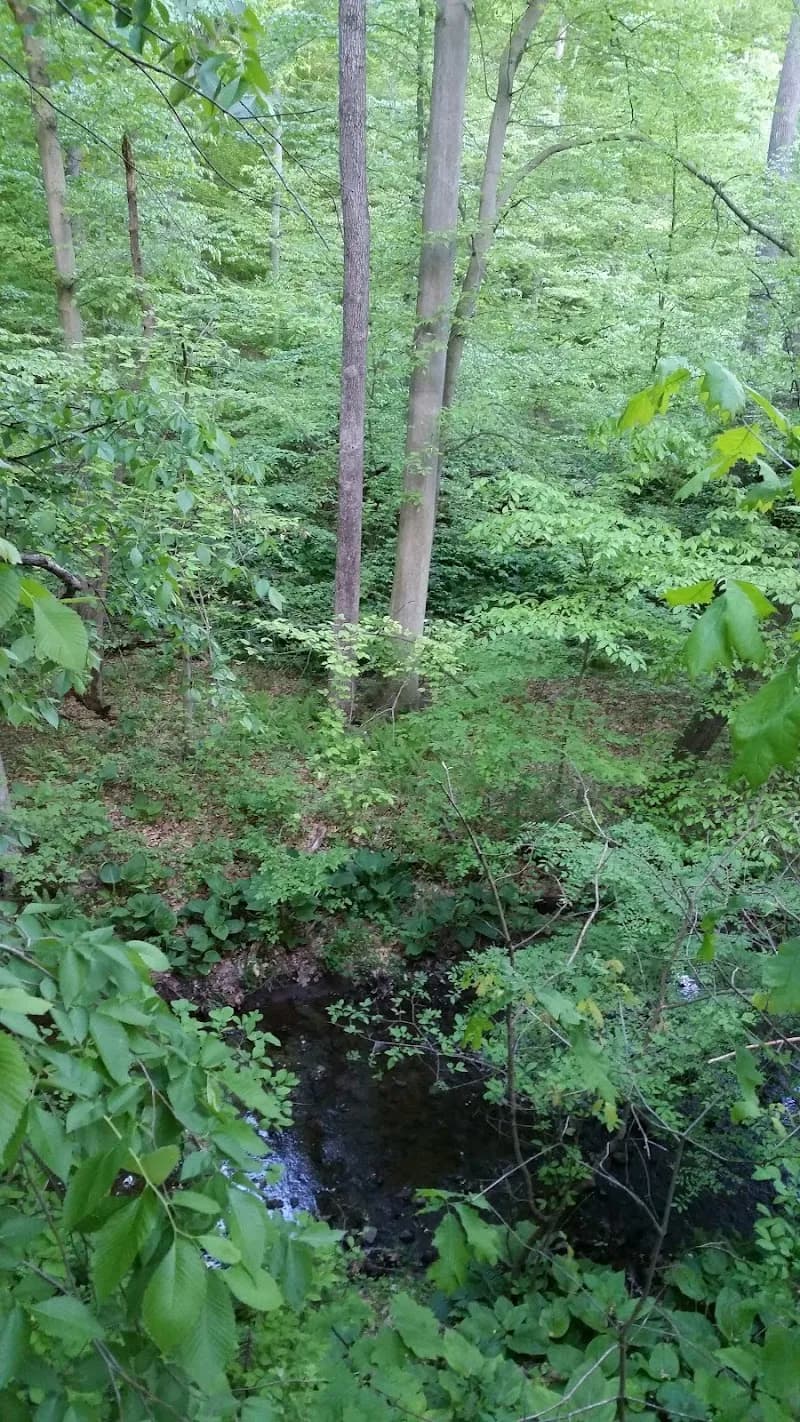 View of Heavenly Waters Park in Bel Air, MD