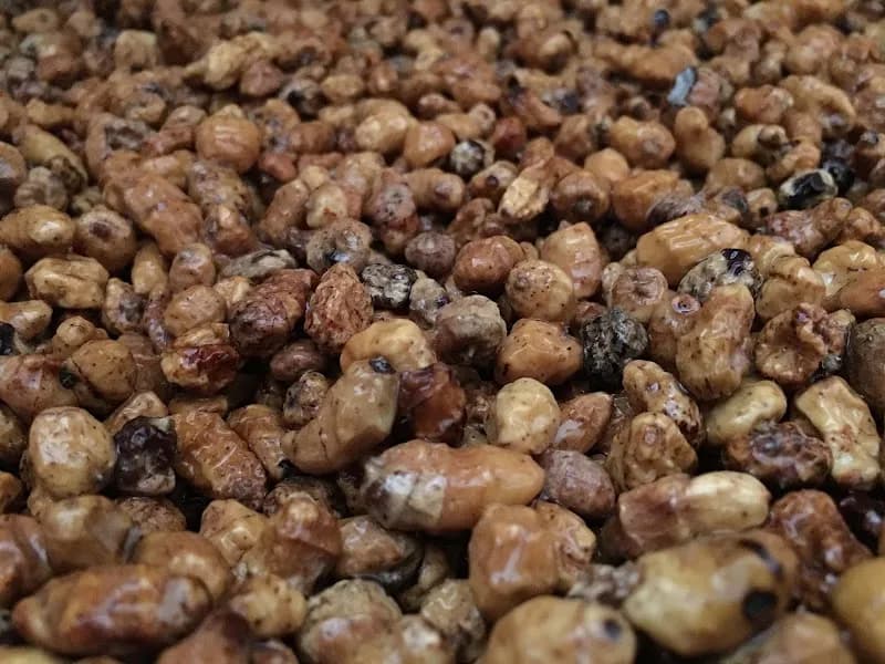 View of Heladería La Dulce Vida in Riba-roja de Túria, V