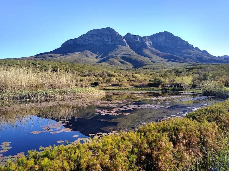 Helderberg Nature Reserve nature preserve in Stellenbosch, WC