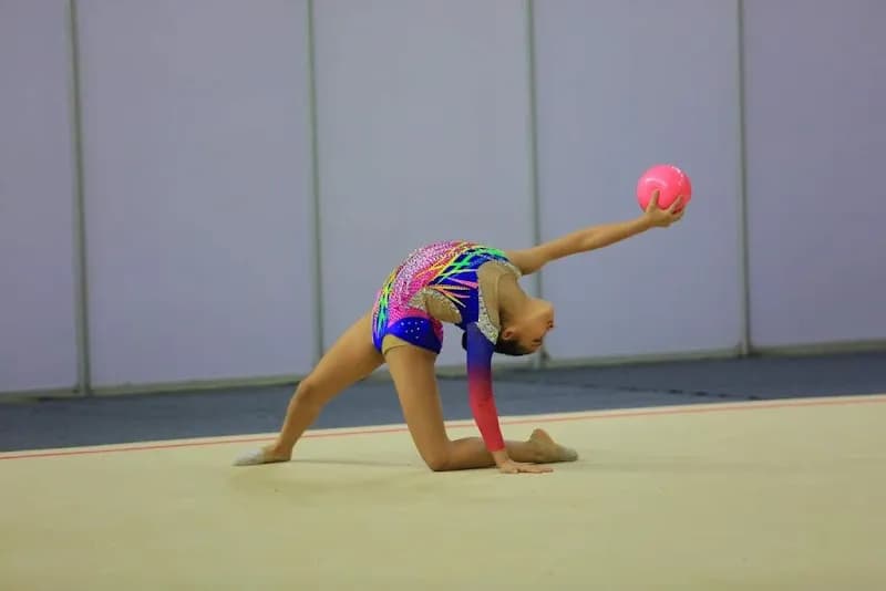 Heliopolis Sports Academy sports in Heliopolis, Cairo