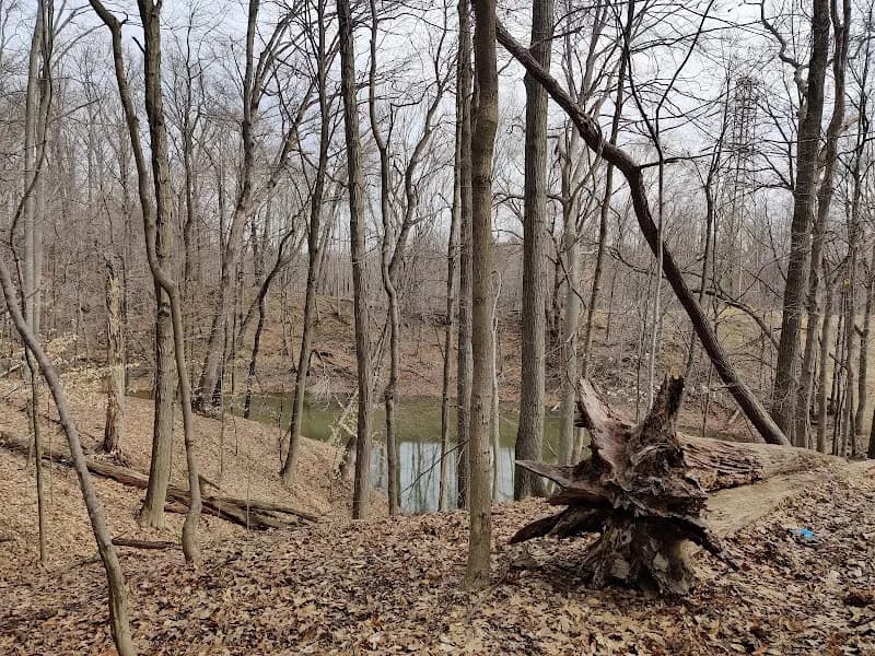 View of Hemlock Creek Trail - West Creek Conservancy in Independence, OH