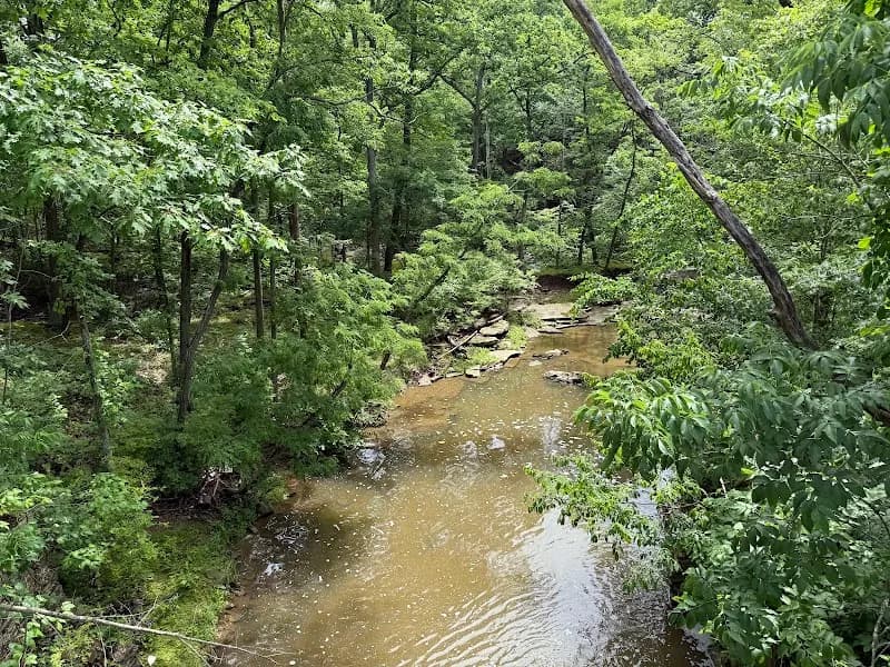 View of Hemlock Creek Trail - West Creek Conservancy in Independence, OH