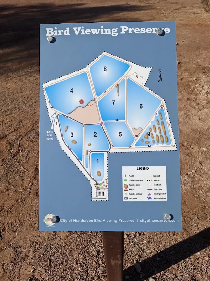 View of Henderson Bird Viewing Preserve in Henderson, NV