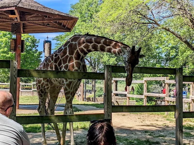 View of Henry Vilas Zoo in Madison, WI