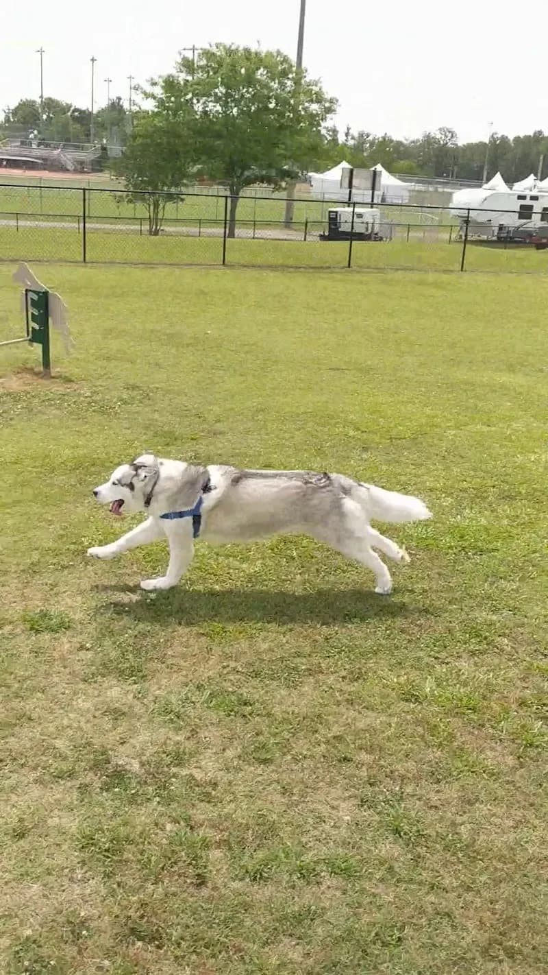 View of Heritage Park Cullman in Cullman, AL
