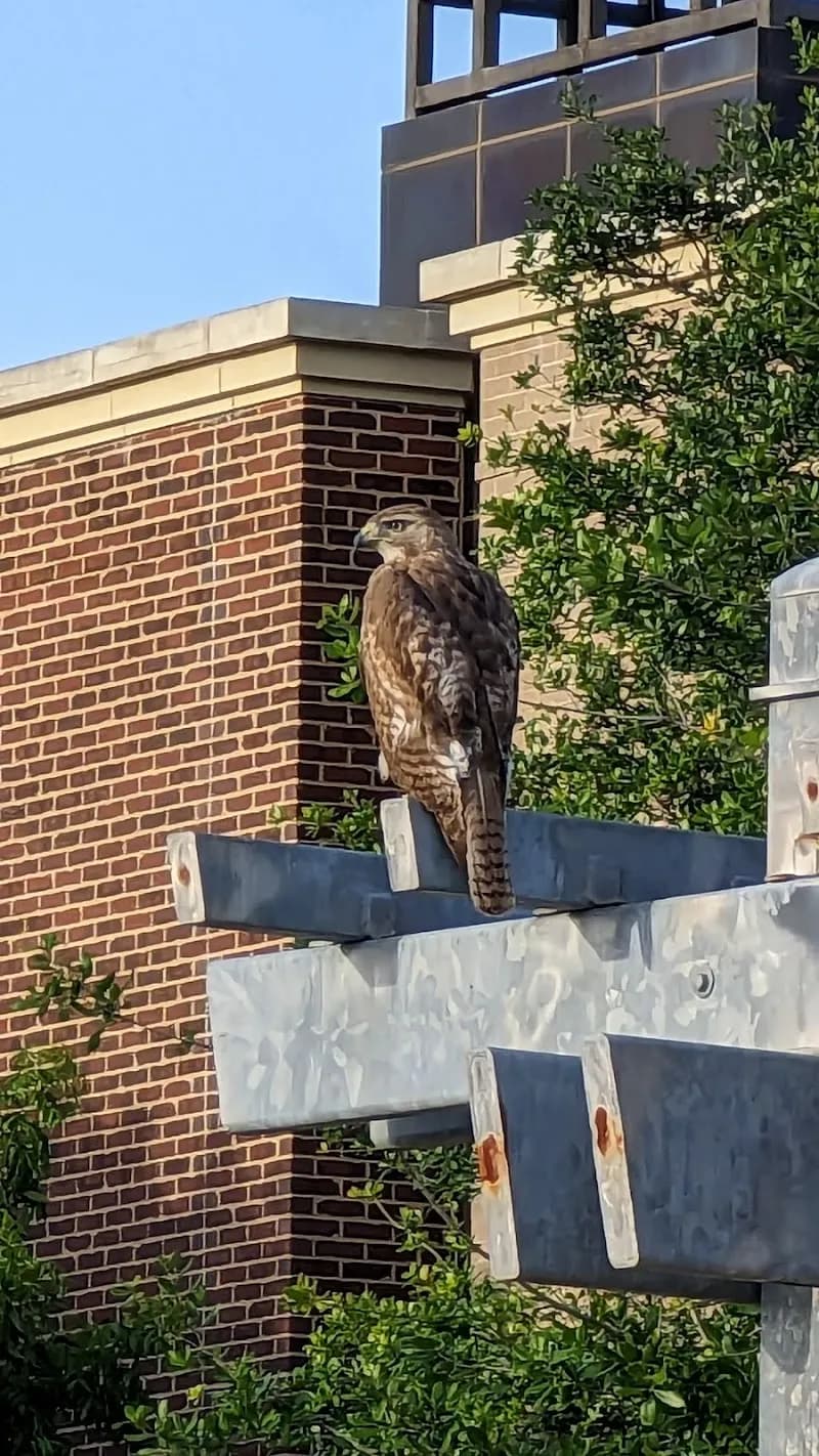 View of Heritage Village Plaza in Hurst, TX