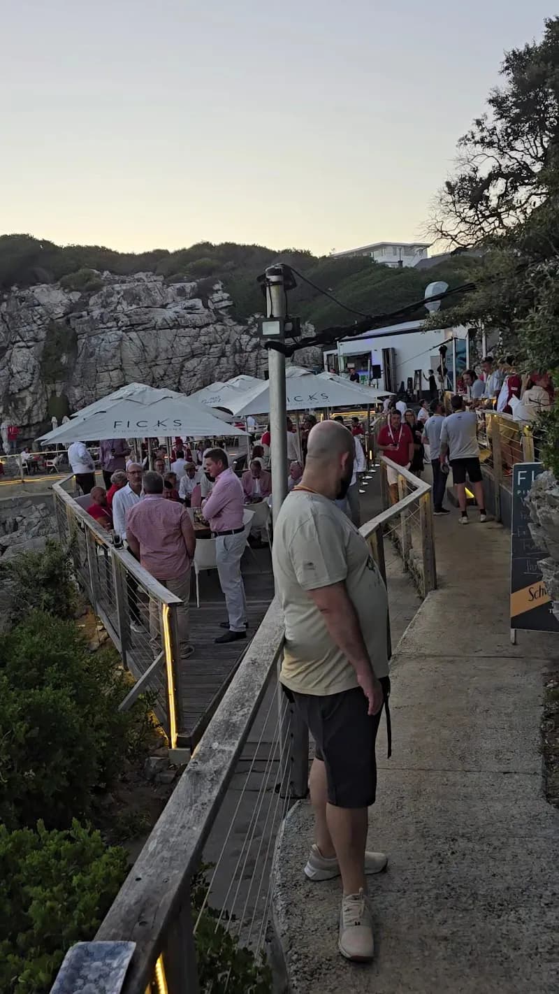 View of Hermanus Cliff Path Biodiversity Walk in Hermanus, WC