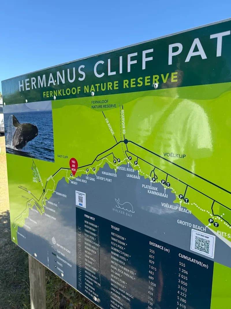 View of Hermanus Cliff Path Biodiversity Walk in Hermanus, WC
