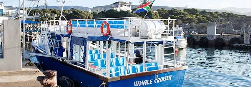 Hermanus Whale Cruises tour agency in Hermanus, WC