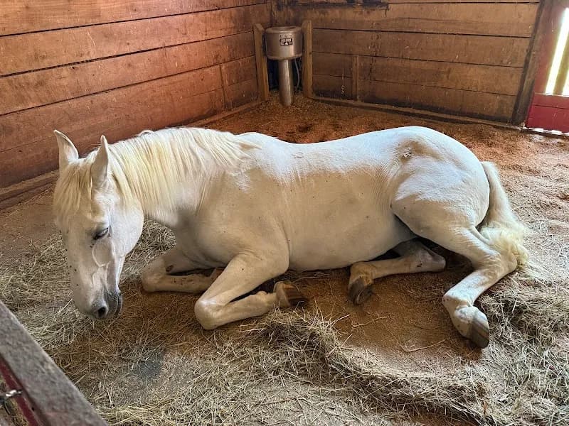 View of Hermitage Farm in Louisville, KY