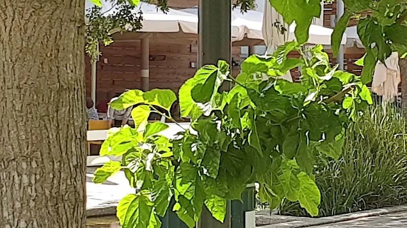 View of Herzliya Park in Herzliya, TA