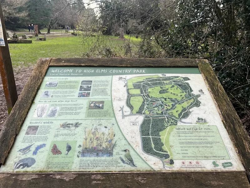 View of High Elms Country Park in Bromley, London
