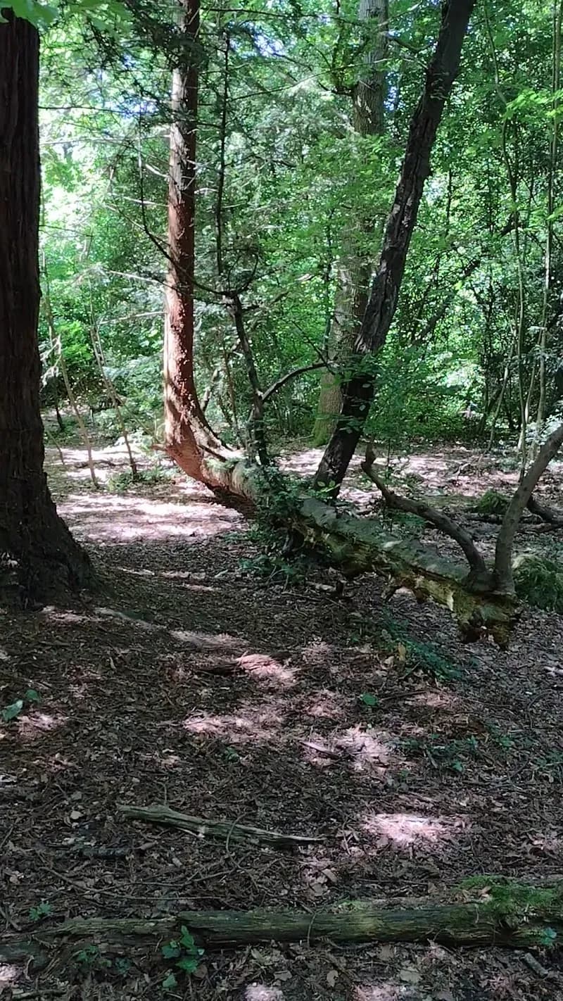 View of High Elms Country Park in Bromley, London
