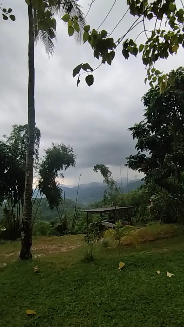 View of Highland Mango Ecofarm in Consolacion, CV