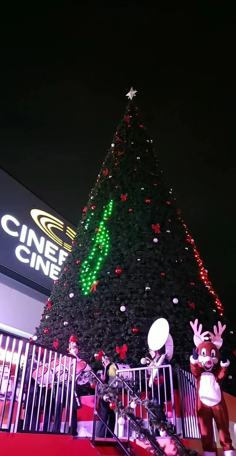 View of Highstreet Shopping Centre Play Area in Abbotsford, BC