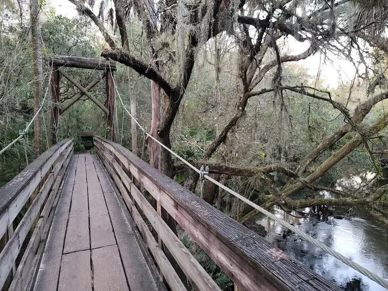 View of Hillsborough River State Park in Temple Terrace, FL
