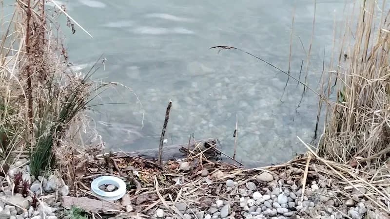 View of Hirschstetten Community Pool (Hirschstettner Bad) in Hirschstetten, VIE