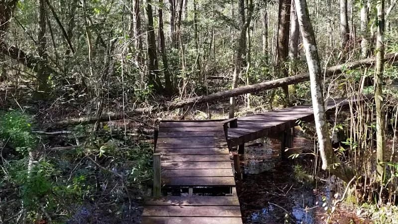 View of Historic Blakeley State Park in Chatom, AL