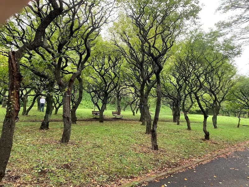 Hodogaya Park park in Hodogaya, Kanagawa