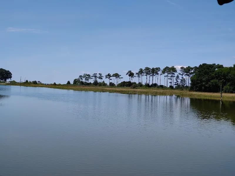 View of Hoffler Creek Wildlife Preserve in Portsmouth, VA