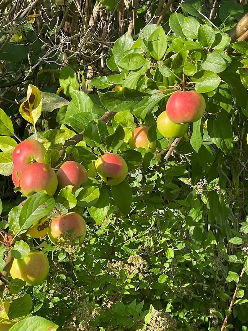 View of Holmlia Frukt & Grønt in Nordstrand, Oslo