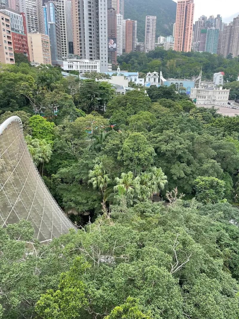 View of Hong Kong Park in Hong Kong, HK