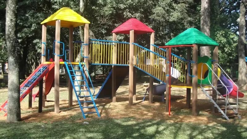 View of Horto Florestal - Parque Estadual Alberto Löfgren in Santo André, SP